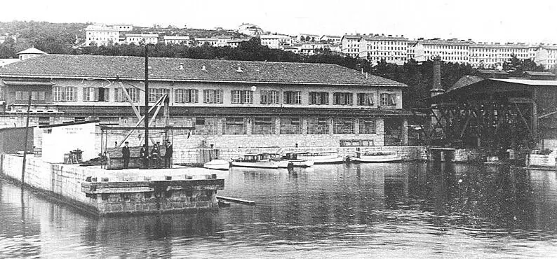 Торпеда Уайтхеда и судостроительный завод в Фиуме 1910 год Флот двуединой - фото 3
