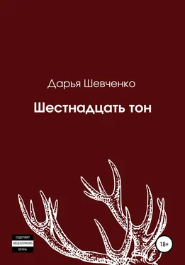 Дарья Шевченко Шестнадцать тон обложка книги