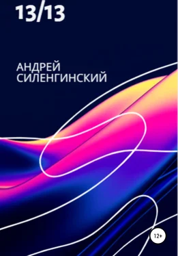 Андрей Силенгинский 13/13 обложка книги