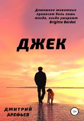 Дмитрий Арефьев - Джек