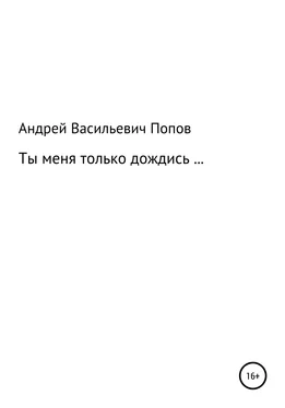 Андрей Попов Ты меня только дождись… обложка книги