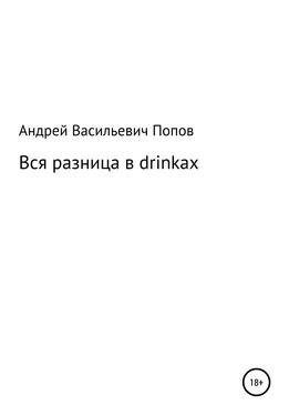 Андрей Попов Вся разница в drinkах обложка книги