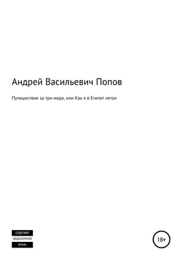 Андрей Попов Путешествие за три моря, или Как я в Египет летал обложка книги