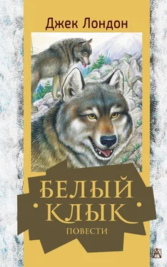 Джек Лондон Белый Клык. Повести обложка книги