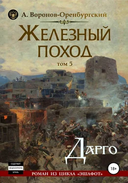 Андрей Воронов-Оренбургский Железный поход. Том пятый. Дарго обложка книги