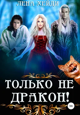 Лена Хейди Только не дракон! обложка книги