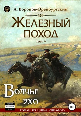 Андрей Воронов-Оренбургский Железный поход. Том четвёртый. Волчье эхо обложка книги