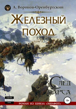 Андрей Воронов-Оренбургский Железный поход. Том третий. След барса обложка книги