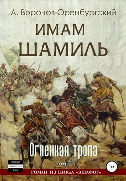 Андрей Воронов-Оренбургский Имам Шамиль. Том второй. Огненная тропа обложка книги