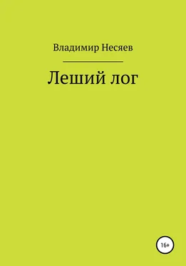 Владимир Несяев Леший лог обложка книги