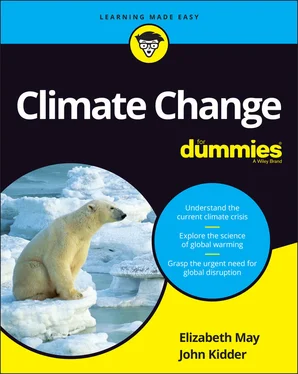 Elizabeth May Climate Change For Dummies обложка книги