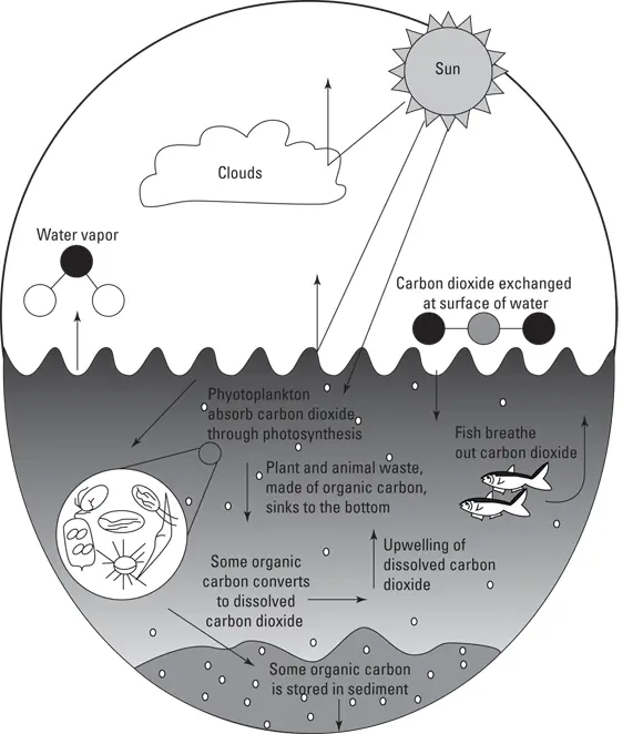 John Wiley Sons Inc FIGURE 23The relationship between carbon dioxide - фото 29