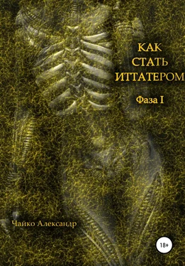 Александр Чайко Как стать иттатером обложка книги