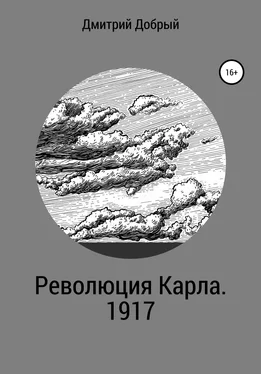 Дмитрий Добрый Революция Карла. 1917 обложка книги