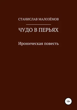 Станислав Малозёмов Чудо в перьях обложка книги