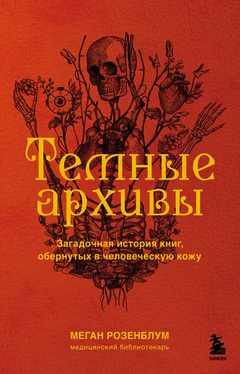 Меган Розенблум Темные архивы. Загадочная история книг, обернутых в человеческую кожу обложка книги