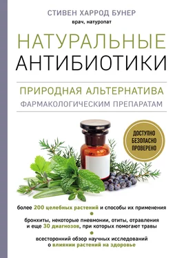 Стивен Харрод Бунер Натуральные антибиотики. Природная альтернатива фармакологическим препаратам обложка книги