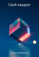 Денис Шелудяков - Свой квадрат
