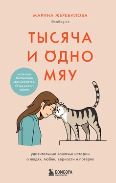 Марина Жеребилова Тысяча и одно мяу. Удивительные кошачьи истории о людях, любви, верности и потерях обложка книги