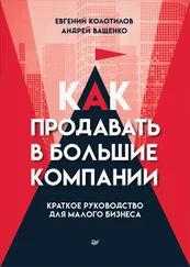 Евгений Колотилов - Как продавать в большие компании. Краткое руководство для малого бизнеса