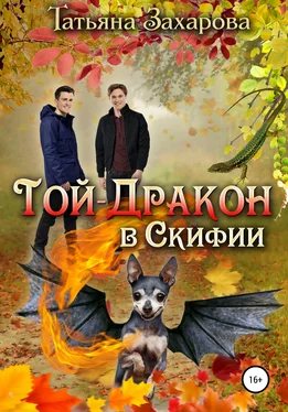 Татьяна Захарова Той-дракон в Скифии обложка книги