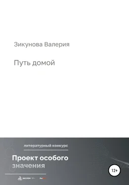 Валерия Зикунова Путь домой обложка книги