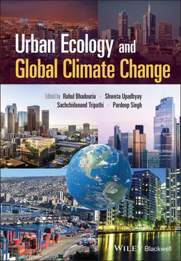 Неизвестный Автор Urban Ecology and Global Climate Change обложка книги