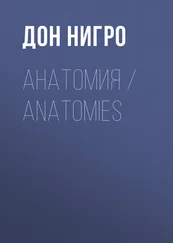 Дон Нигро - Анатомия / Anatomies