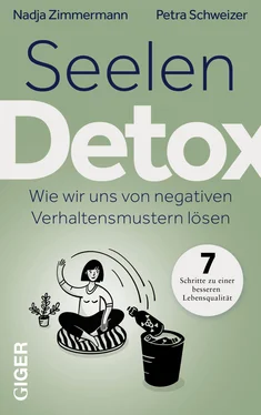 Nadja Zimmermann Petra Schweizer Seelen Detox обложка книги