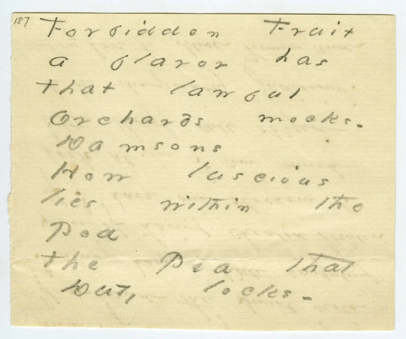 FIGURE 12 Manuscript copy of Emily Dickinsons Forbidden fruit a flavor has - фото 3