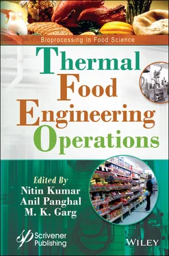 NITIN KUMAR Thermal Food Engineering Operations обложка книги