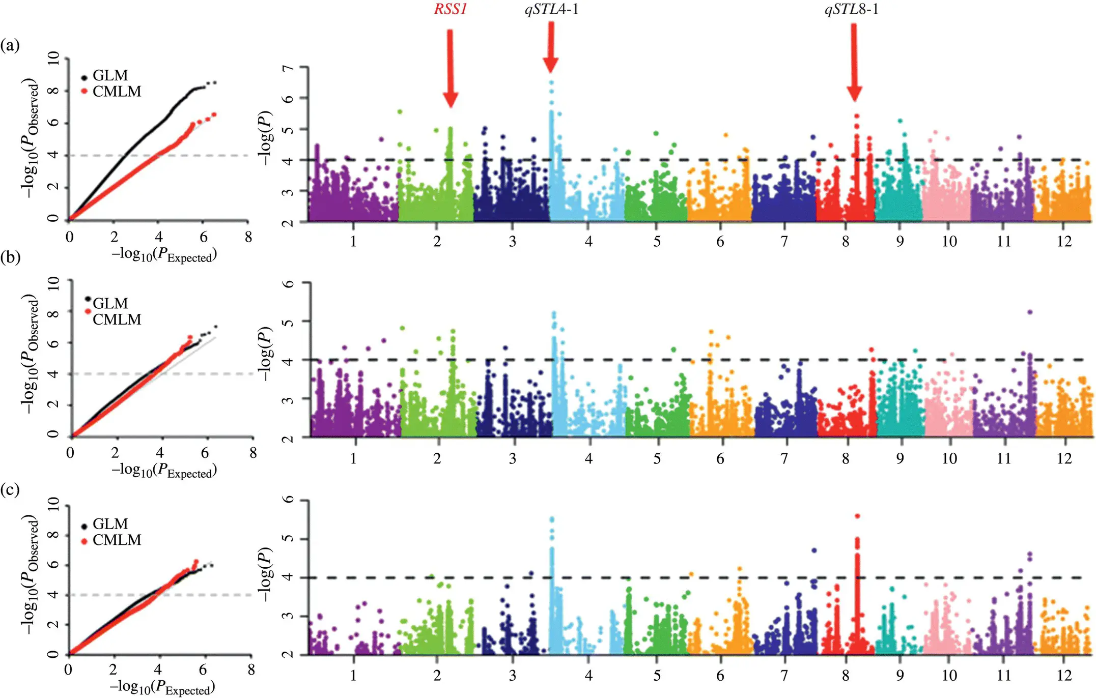 Figure 32 Genomewide association studies GWAS in rice seedling for - фото 12