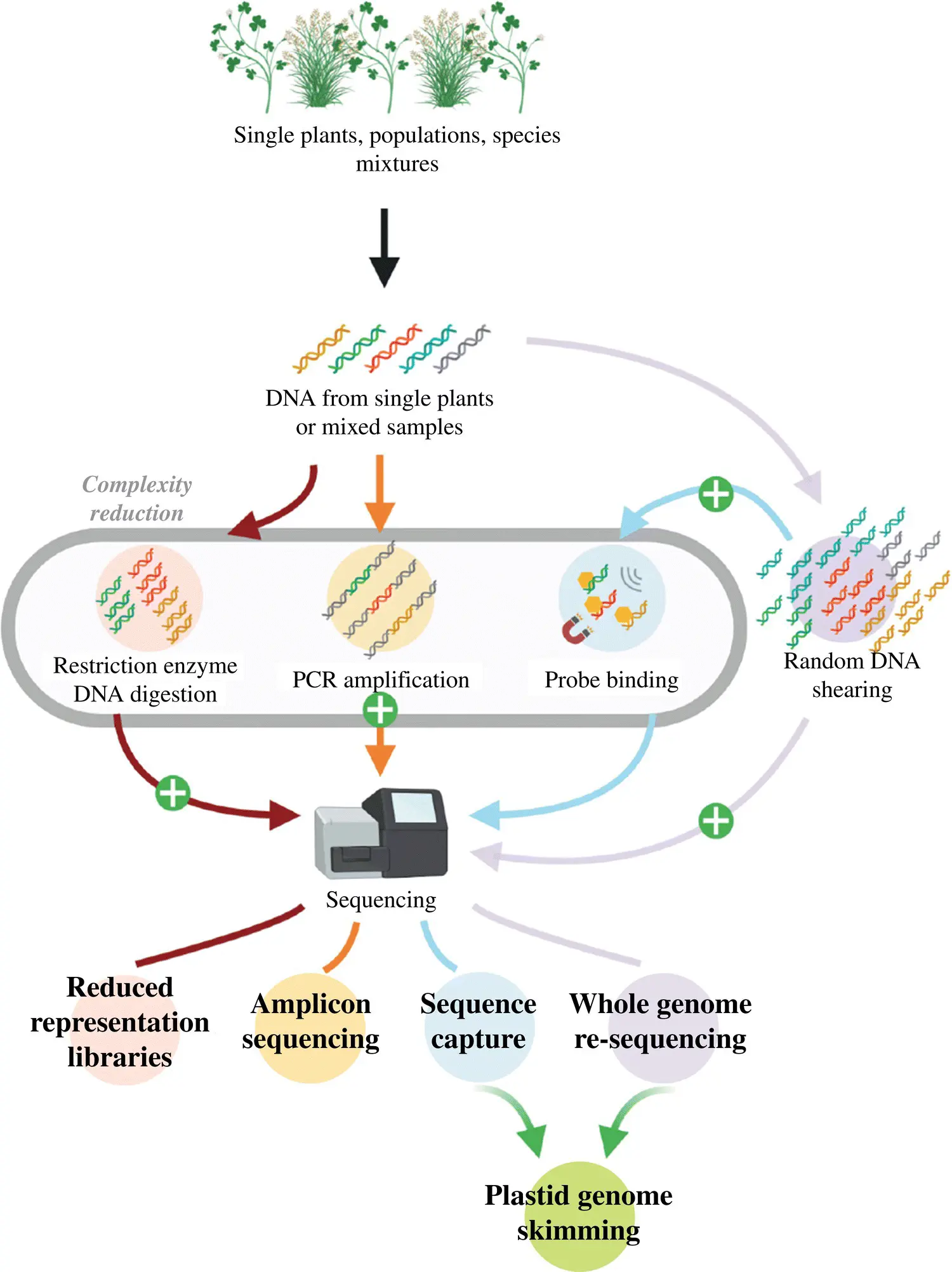 Figure 31 Diagrammatic representation of various highthroughputsequencing - фото 11