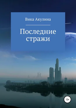 Вика Акулина Последние стражи обложка книги