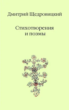 Дмитрий Щедровицкий Стихотворения и поэмы обложка книги