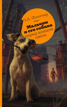 Ч. Флетчер Мальчик и его собака перед концом света обложка книги