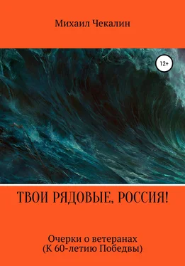 Михаил Чекалин Твои рядовые, Россия! обложка книги