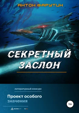 Антон Фарутин Секретный заслон обложка книги