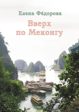 Елена Федорова Вверх по Меконгу (сборник) обложка книги