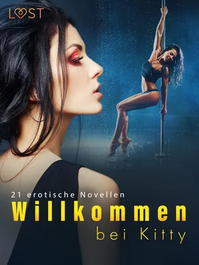 Lisa Vild Willkommen bei Kitty - 21 erotische Novellen обложка книги