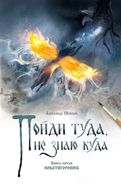 Александр Шевцов Пойди туда, не знаю куда. Книга 5. Покатигорошек обложка книги