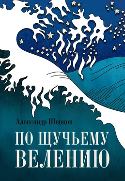 Александр Шевцов По щучьему велению обложка книги