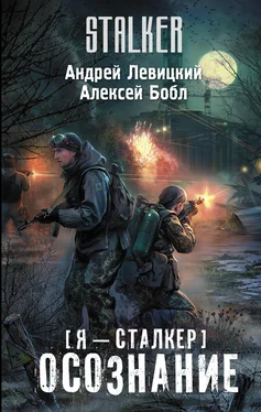 Алексей Бобл Осознание обложка книги