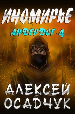 Алексей Осадчук Иномирье обложка книги