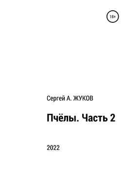 Сергей Жуков Пчёлы. Часть 2 обложка книги