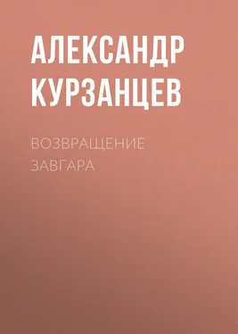 Александр Курзанцев Возвращение Завгара обложка книги