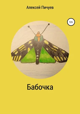 Алексей Пичуев Бабочка обложка книги