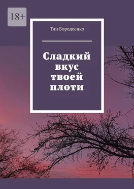 Тин Бородеенко Сладкий вкус твоей плоти обложка книги