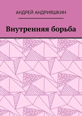 Андрей Андрияшкин Внутренняя борьба обложка книги