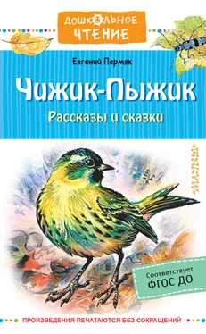 Евгений Пермяк Чижик-пыжик обложка книги